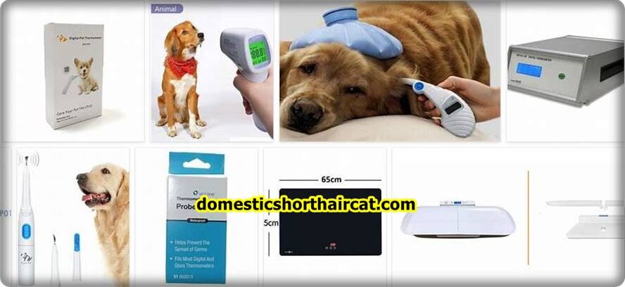 Icare Pet Thermometer buy